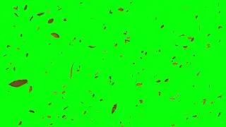 Falling leaves | FREE FOOTAGE | Green screen