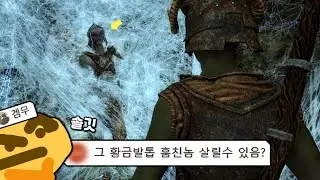 스카이림에서 이거 살리면 어디로 갈까?