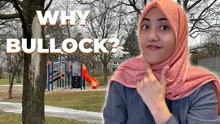 Markham vlog | Bullock Neighborhood - Tour of Bullock community
