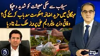 Pakistan Flood Impact | Economic Shock | Inflation Rising? | Ali Parvez Malik - Pakistan news