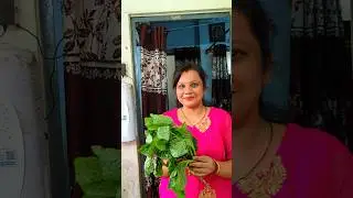 #Sunday special Poi machha munda Chinchada#Poi Chinchada#poimacha mundaghanta#monalisa3life