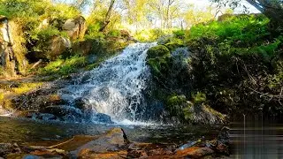 Sonido de Cascada para Dormir Profundamente 🌙 (60 min) | Waterfall Sound for Deep Sleep