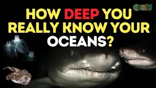 Unbelievable Ocean Facts Quiz &ndash; Boost Your Knowledge About Marine Wonders #oceantrivia #oceanfacts