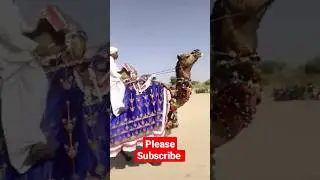 thar festival #viral #thar #camels #mela #animals #tharparkar