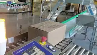 auto pouches carton packing and  stacking  Palletizer machines #packaging #equipment #automation