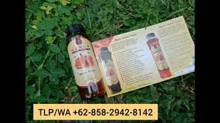 TERSEDIA!!!, Madu Merah Super Bandung, TLP/WA +62-858-2942-8142