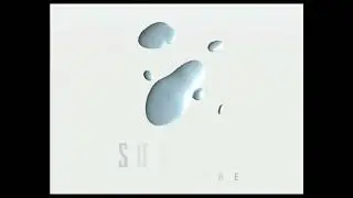 Surreal software (2002)