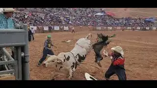 Winning Ride: Wade Tuni vs Bad Medicine 87pts Gallup Inter-Tribal Indian Ceremonial Rodeo