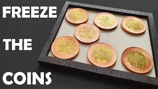 Freeze the coins puzzle #shorts