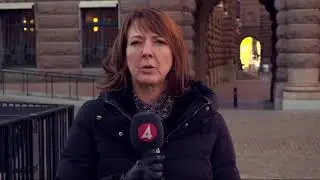 Moderaterna vill kartl&auml;gga sexualbrott - Nyheterna (TV4)
