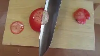 Kiwami Stainless knife (HRC-60)