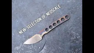 New Selection of NeoScale Angis | Baltic Blades Log 018