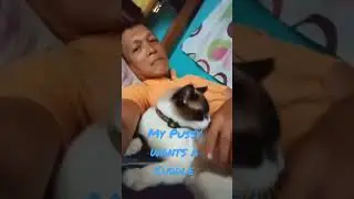 My Pussy wants a Cuddle...Lovely Pet
