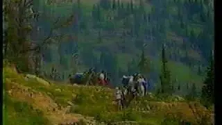 Swan Mountain Llama Trekking