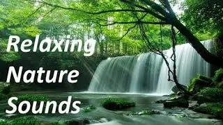 Relaxing Waterfall Sounds with Clam music. Nature Ambanic for sleep &Sundar jharna Santi bhra music 