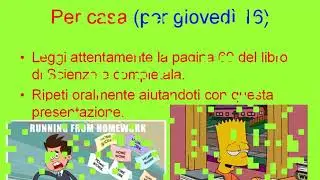 Gita nel bosco - I funghi