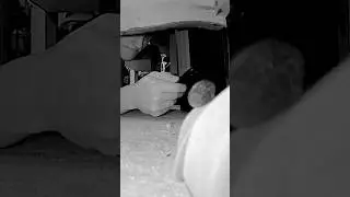 Angry Dad Remote Control Mouse Prank