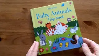 Baby Animals flap book - Usborne