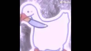 Just a silly little duck #duck #snakearmy