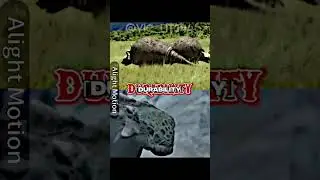 Doedicurus vs Ankylosaurus (FM 11256 vs CCM V003) #edit #paleontology #shorts
