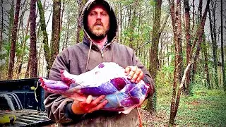 Is roadkill poisonous?