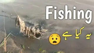 Real life and real fishing