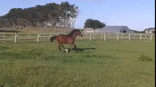 20151020 080256