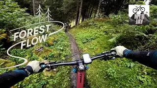 Fast Forest Singletrack Descent &ndash; Valais MTB Ride with Friends
