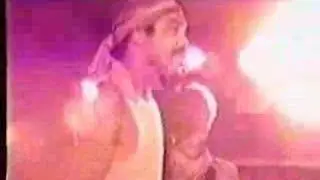 The Sheiks - 99 AND A HALF WONT DO