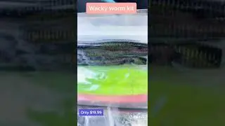 Reaction tackle wacky worm kit review
