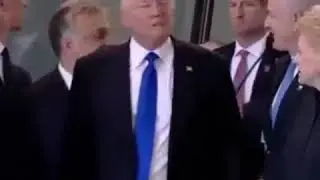 Donald trump madlipz