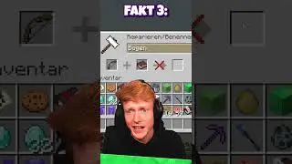 5 UNN&Ouml;TIGE Minecraft FAKTEN die KAUM jemand KENNT..
