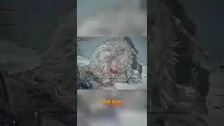 Legendary Moments & Action: The Ultimate Ride
