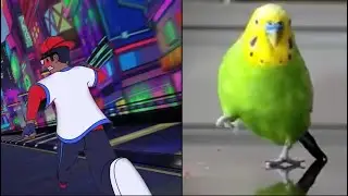 Verbalase 50k meme birb