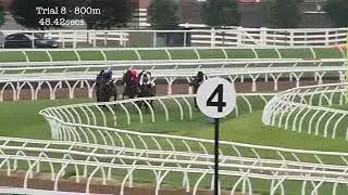 Flemington Jumpouts | 3 October 2014 | Heat 8