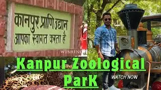 Kanpur Zoo | कानपुर चिड़ियाघर | Kanpur zoological Park | Kanpur adventure park