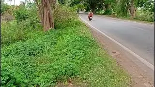 10 GUNTAS GENERAL PROPERTY SUITABLE FOR COMMERCIAL PURPOSE IN JANGAMAKOTE CROSS TO H CROSS HIGHWAY