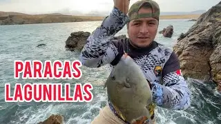 PESCA con devolución en la RESERVA DE PARACAS // LAGUNILLA