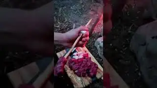 Bushcraft Camp, Catch and Cook #bushcraft #camping #crafting #nature #wildlife #survival #cooking