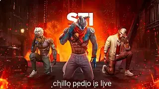 chillo pedio is live