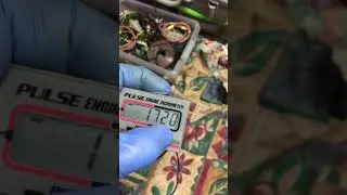 PET 2000DX Working test
