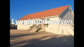 Lyngblomstvalsen, en sang til Grendalaget Lyngblomst