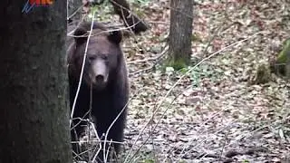 Muzsik&aacute;s Vend&eacute;gh&aacute;z 2018 (Hargita megye, Farkaslaka)
