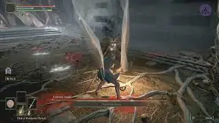 Elden Ring: Cemetery Shade (Hitless, Parry Only)