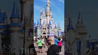 Disneyland's Secret Cat Crew #disneyvlogger #disneyfacts #disneyhistory #disneyparks