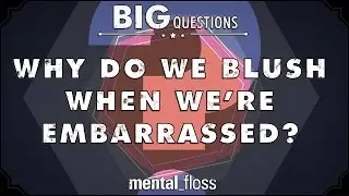 Why do we blush when we're embarrassed?  - Big Questions - (Ep. 35) | Mental Floss