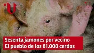 Rodeiro, el concello con sesenta jamones por cada vecino