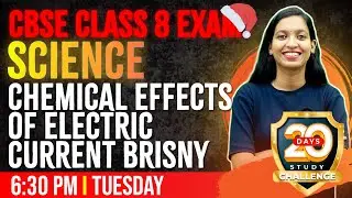 Экзамен по естествознанию CBSE для 8 класса | Химические эффекты электрического тока | Глава 11 | Победитель экзамена