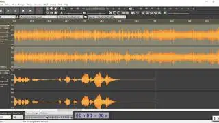 Audacity 101 - 19. Drag and Drop Tracks, Adjust Height