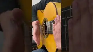 Mariachi&rsquo;s song. Full video in you tube channel #guitarmusic #flamencoguitar #guitarorchestra